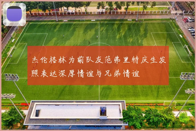 杰伦格林为前队友范弗里特庆生发照表达深厚情谊与兄弟情谊