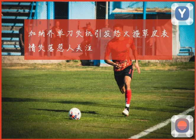 加纳乔单刀失机引发怒火捶草皮表情失落惹人关注