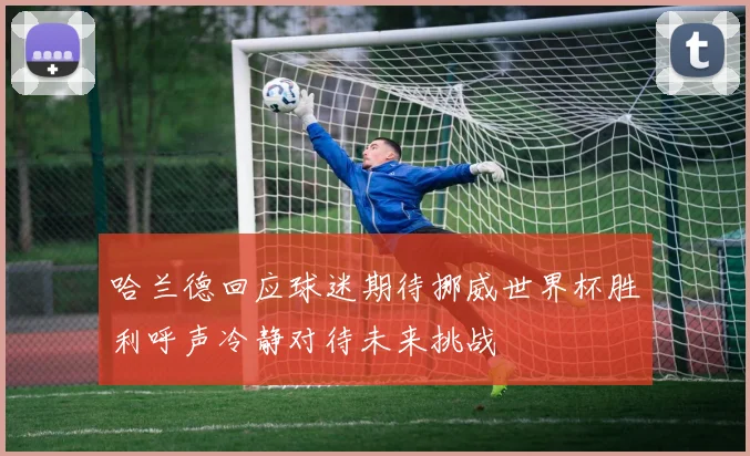 哈兰德回应球迷期待挪威世界杯胜利呼声冷静对待未来挑战
