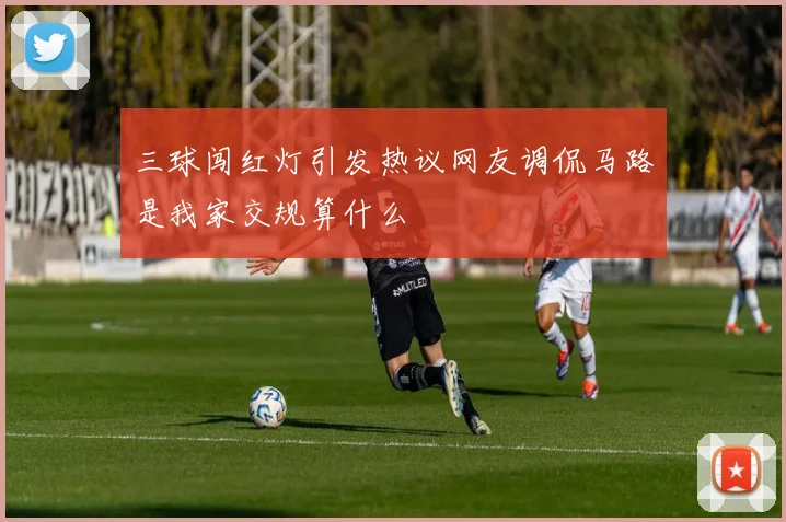 三球闯红灯引发热议网友调侃马路是我家交规算什么