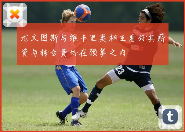 尤文图斯与维卡里奥相互看好其薪资与转会费均在预算之内